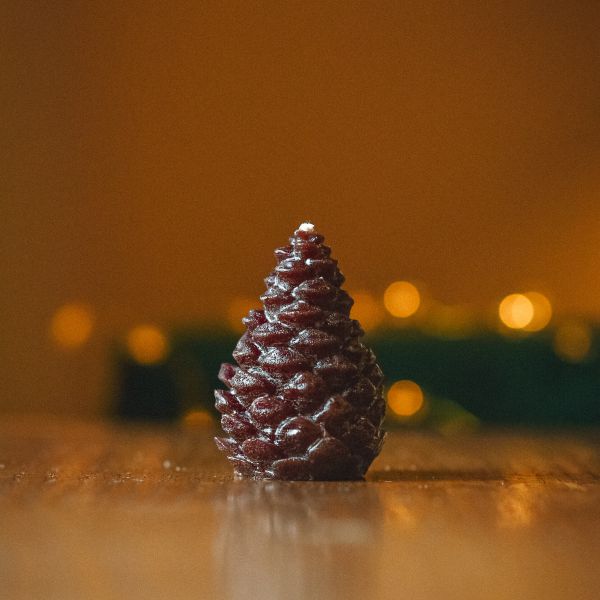 Cone candle with pine needle scent