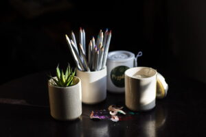 photo reuse plant pencil min 1200x800